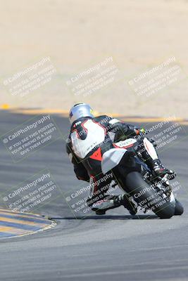 media/Mar-10-2024-SoCal Trackdays (Sun) [[6228d7c590]]/9-Turn 8 Backside (1150am)/